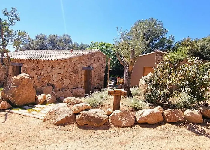 Domaine De Gialla Bergerie Figa, 4 Pers, Piscine Chauffee, 10 Mn Arraggio